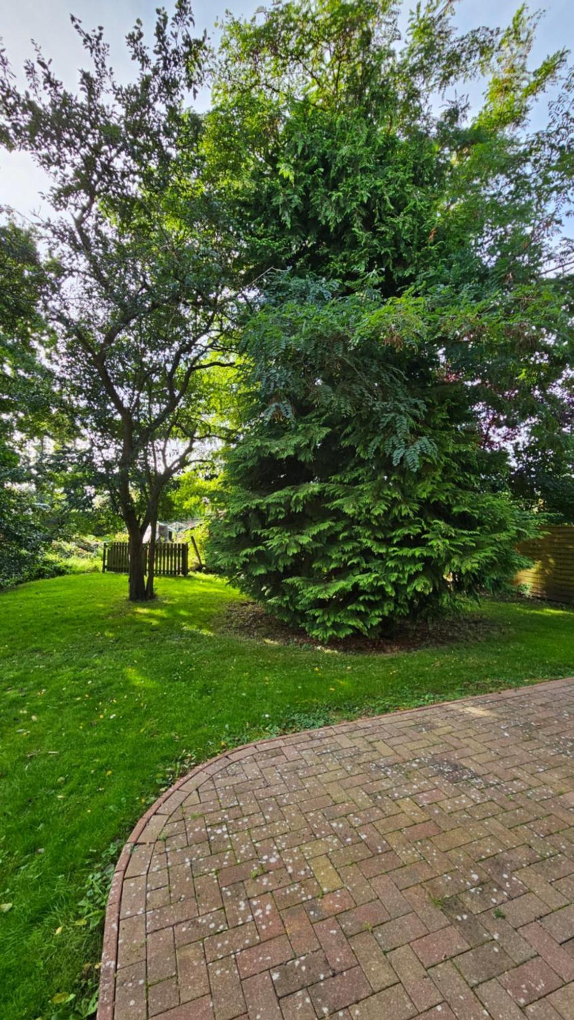 Usedom Suites Zinnowitz Exteriér fotografie